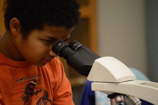 三年级学生在显微镜下看
